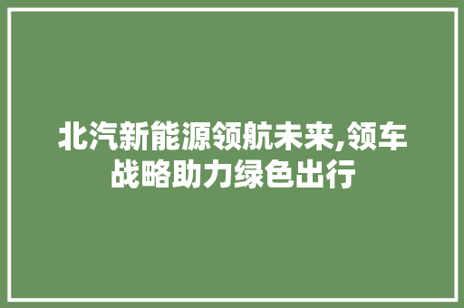 北汽新能源领航未来,领车战略助力绿色出行