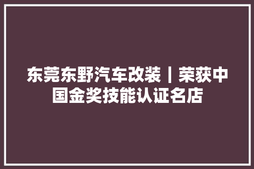 东莞东野汽车改装｜荣获中国金奖技能认证名店 汽车知识