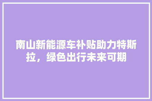 南山新能源车补贴助力特斯拉，绿色出行未来可期