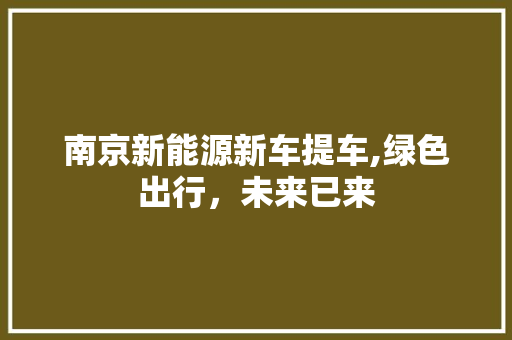 南京新能源新车提车,绿色出行，未来已来
