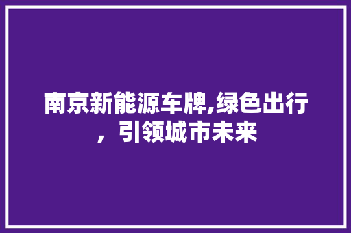 南京新能源车牌,绿色出行，引领城市未来