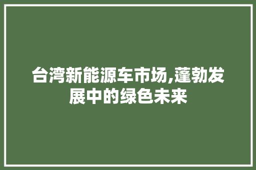 台湾新能源车市场,蓬勃发展中的绿色未来