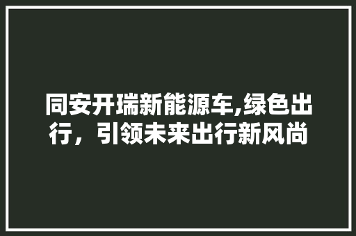 同安开瑞新能源车,绿色出行，引领未来出行新风尚