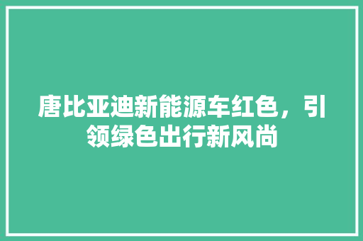 唐比亚迪新能源车红色，引领绿色出行新风尚