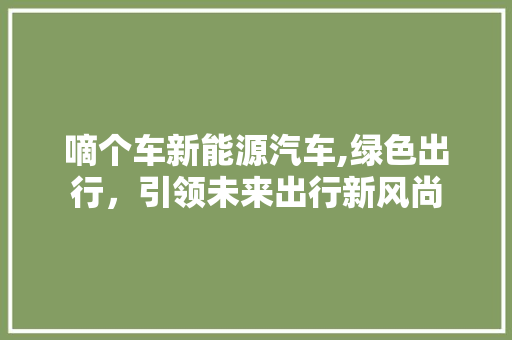 嘀个车新能源汽车,绿色出行，引领未来出行新风尚