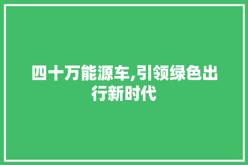 四十万能源车,引领绿色出行新时代