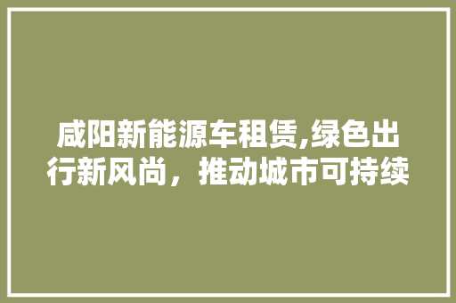 咸阳新能源车租赁,绿色出行新风尚，推动城市可持续发展