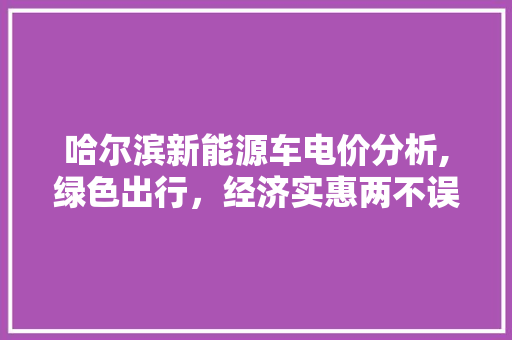 哈尔滨新能源车电价分析,绿色出行，经济实惠两不误