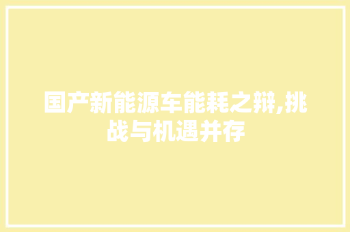 国产新能源车能耗之辩,挑战与机遇并存