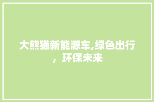大熊猫新能源车,绿色出行，环保未来