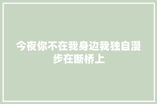 今夜你不在我身边我独自漫步在断桥上 休闲娱乐
