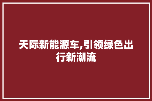 天际新能源车,引领绿色出行新潮流