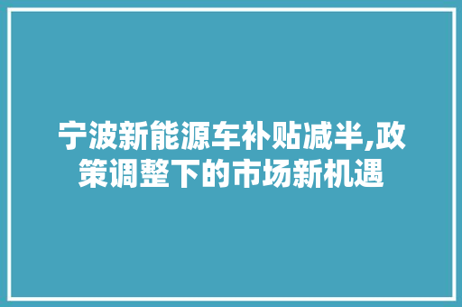 宁波新能源车补贴减半,政策调整下的市场新机遇