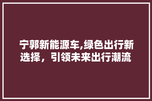 宁郭新能源车,绿色出行新选择，引领未来出行潮流