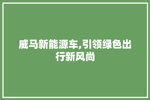 威马新能源车,引领绿色出行新风尚