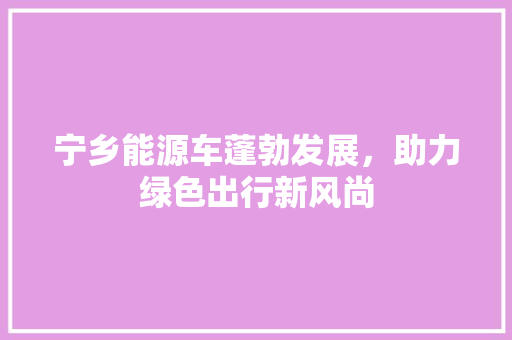 宁乡能源车蓬勃发展，助力绿色出行新风尚