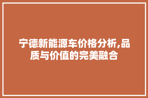 宁德新能源车价格分析,品质与价值的完美融合