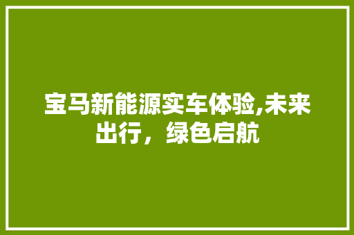 宝马新能源实车体验,未来出行，绿色启航