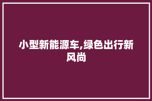 小型新能源车,绿色出行新风尚