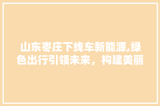 山东枣庄下线车新能源,绿色出行引领未来，构建美丽家园