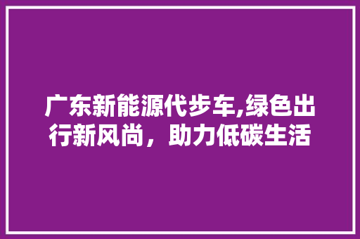 广东新能源代步车,绿色出行新风尚，助力低碳生活