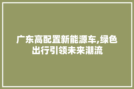 广东高配置新能源车,绿色出行引领未来潮流