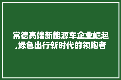 常德高端新能源车企业崛起,绿色出行新时代的领跑者