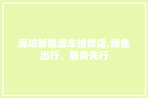 廊坊新能源车维修店,绿色出行，服务先行