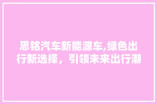 思铭汽车新能源车,绿色出行新选择，引领未来出行潮流