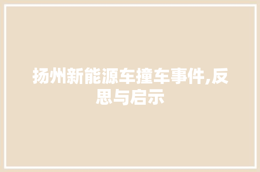 扬州新能源车撞车事件,反思与启示