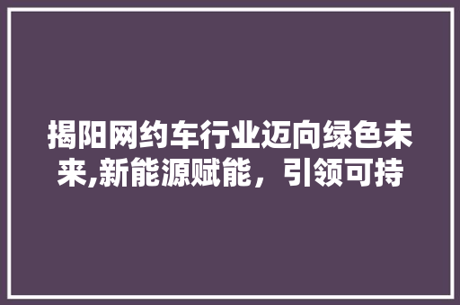 揭阳网约车行业迈向绿色未来,新能源赋能，引领可持续发展新篇章 汽车知识