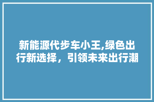 新能源代步车小王,绿色出行新选择，引领未来出行潮流