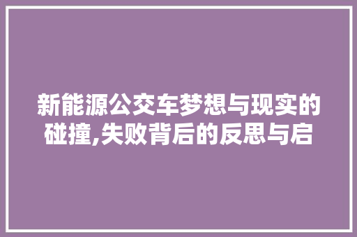 新能源公交车梦想与现实的碰撞,失败背后的反思与启示