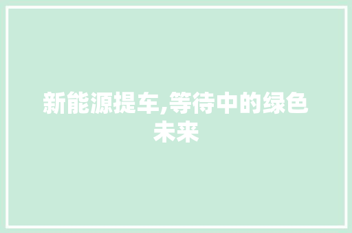 新能源提车,等待中的绿色未来
