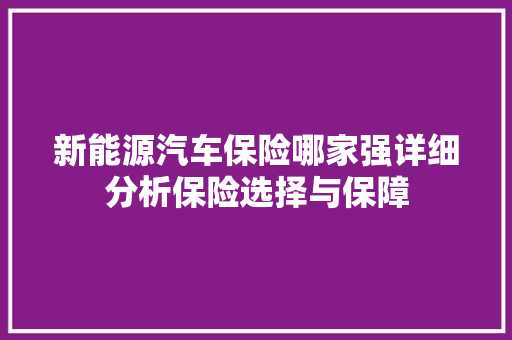 新能源汽车保险哪家强详细分析保险选择与保障