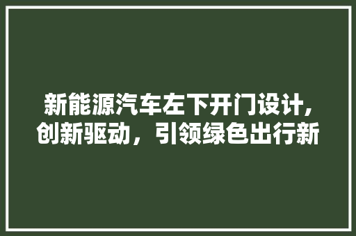 新能源汽车左下开门设计,创新驱动，引领绿色出行新风尚