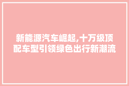新能源汽车崛起,十万级顶配车型引领绿色出行新潮流