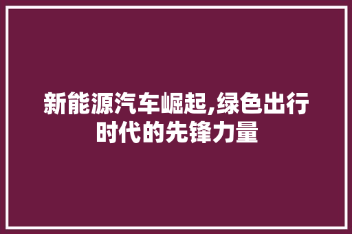 新能源汽车崛起,绿色出行时代的先锋力量