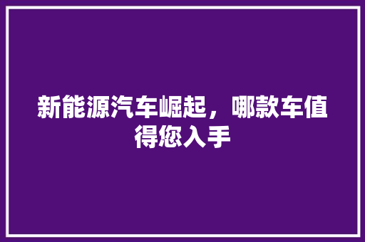 新能源汽车崛起，哪款车值得您入手