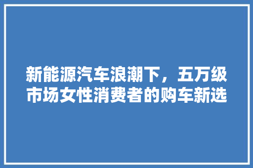 新能源汽车浪潮下，五万级市场女性消费者的购车新选择