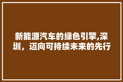 新能源汽车的绿色引擎,深圳，迈向可持续未来的先行者