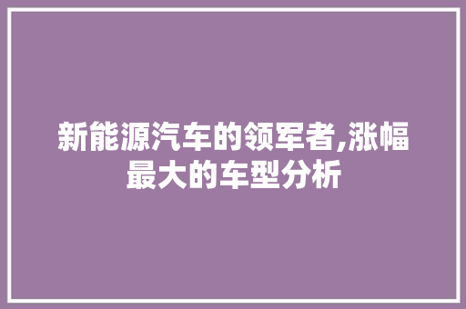 新能源汽车的领军者,涨幅最大的车型分析