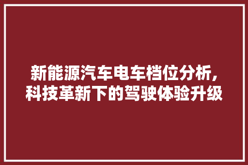 新能源汽车电车档位分析,科技革新下的驾驶体验升级