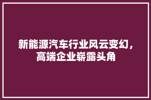 新能源汽车行业风云变幻，高端企业崭露头角