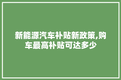 新能源汽车补贴新政策,购车最高补贴可达多少