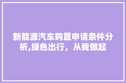 新能源汽车购置申请条件分析,绿色出行，从我做起