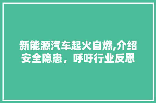 新能源汽车起火自燃,介绍安全隐患，呼吁行业反思