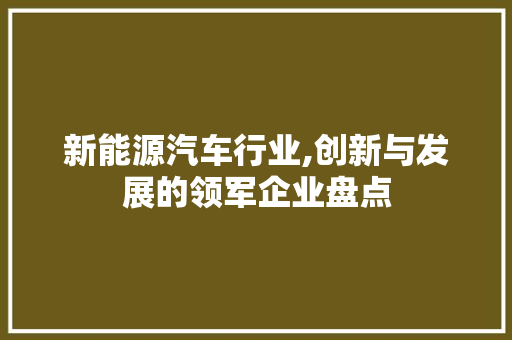 新能源汽车行业,创新与发展的领军企业盘点