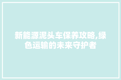 新能源泥头车保养攻略,绿色运输的未来守护者