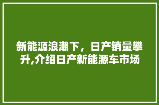 新能源浪潮下，日产销量攀升,介绍日产新能源车市场的崛起之路